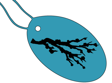 Thème : voyage au Japon