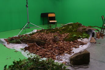 Décors d'un film sur le plateau de tournage fond vert Des feuilles mortes sont posées au sol pour former le décors d'un film sur le plateau de tournage avec fond vert.