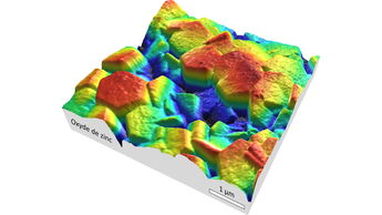 Illustration plateforme Morphomeca