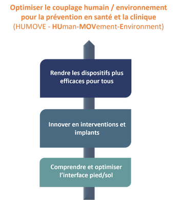 Détails du groupe de recherche HUMOVE (L'Homme, le Mouvement, l'Environnement) du département BioMotH du LAMIH