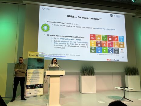 AG du LAMIH : DDRS