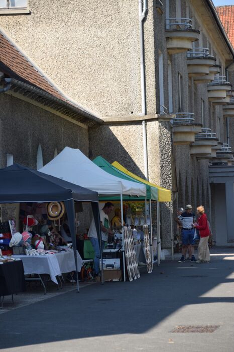 Les thermes de Saint-Amand-les-Eaux : balades, détente, musique et ateliers créatifs
