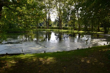 Les thermes de Saint-Amand-les-Eaux : balades, détente, musique et ateliers créatifs