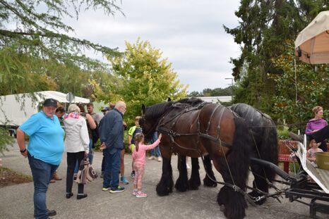 Les thermes de Saint-Amand-les-Eaux : balades, détente, musique et ateliers créatifs