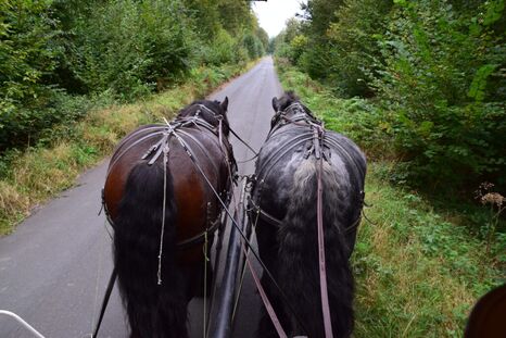 Les thermes de Saint-Amand-les-Eaux : balades, détente, musique et ateliers créatifs