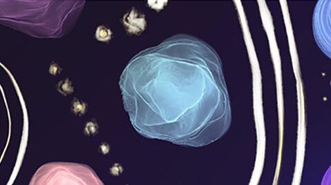 [Séminaire Axe 3] le Concept d'Outsider