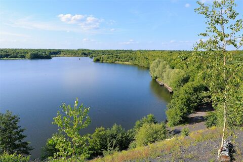 Du noir, du vert et des loisirs : perceptions et usages sociaux du patrimoine minier et naturel
