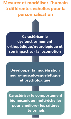 Détails du groupe de recherche BEHUM du département BioMotH du LAMIH
